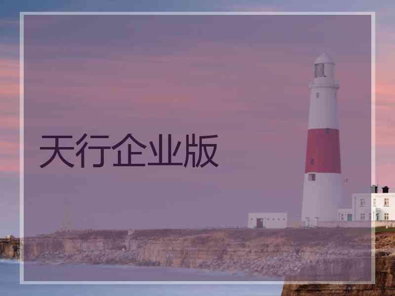 天行企业版