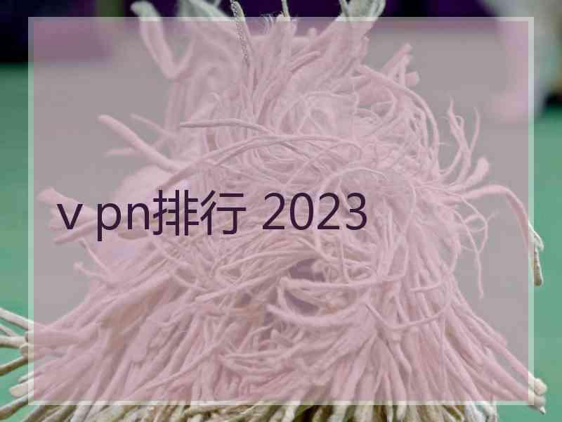 ⅴpn排行 2023