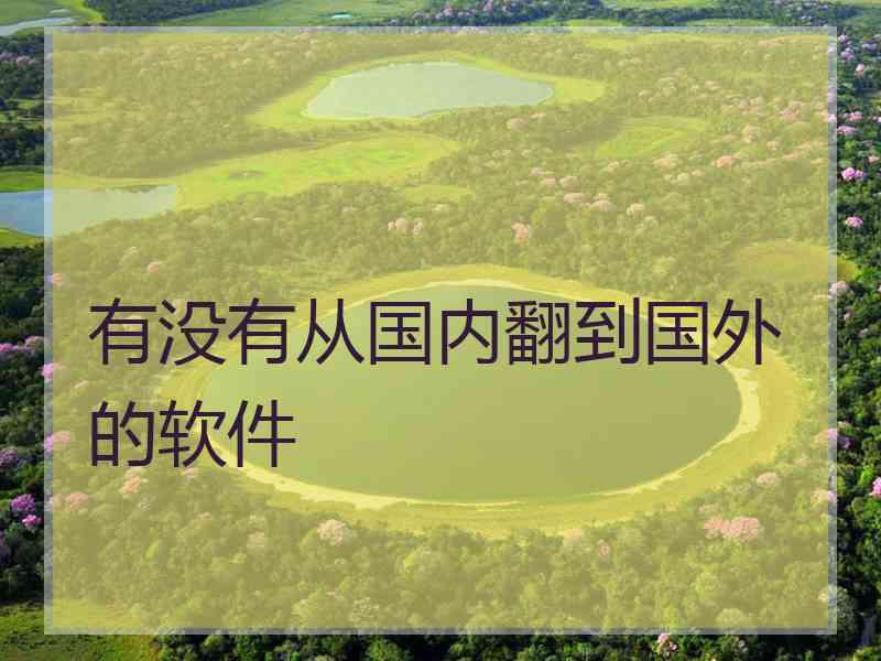 有没有从国内翻到国外的软件