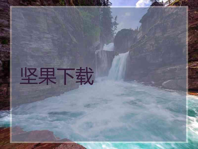 坚果下载