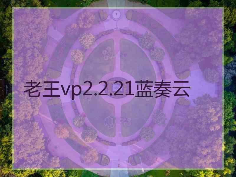 老王vp2.2.21蓝奏云